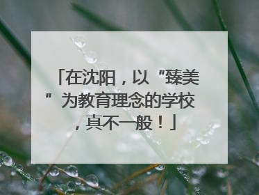 在沈阳，以“臻美”为教育理念的学校，真不一般！