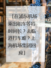在浦东机场乘出租车等待时间长？去临港打车难？上海机场集团回应
