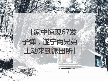 家中惊现67发子弹，遂宁两兄弟主动来到派出所
