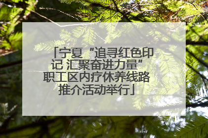 宁夏“追寻红色印记 汇聚奋进力量”职工区内疗休养线路推介活动举行