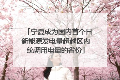 宁夏成为国内首个日新能源发电量超越区内统调用电量的省份