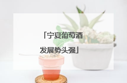 宁夏葡萄酒发展势头强