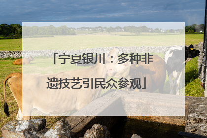 宁夏银川：多种非遗技艺引民众参观