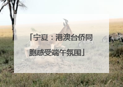 宁夏：港澳台侨同胞感受端午氛围