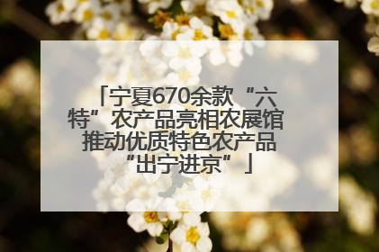 宁夏670余款“六特”农产品亮相农展馆 推动优质特色农产品“出宁进京”