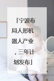 宁波布局人形机器人产业，三年计划发布