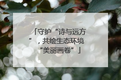 守护“诗与远方”，共绘生态环境“美丽画卷”