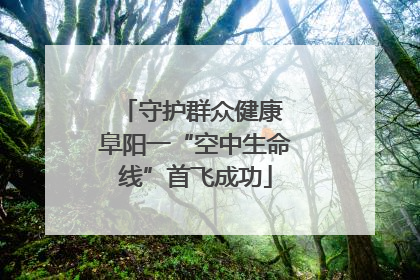 守护群众健康 阜阳一“空中生命线”首飞成功