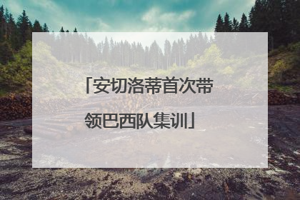 安切洛蒂首次带领巴西队集训