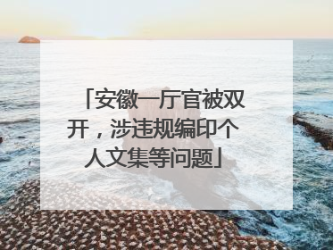 安徽一厅官被双开，涉违规编印个人文集等问题