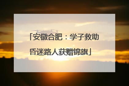 安徽合肥：学子救助昏迷路人获赠锦旗