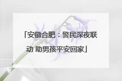 安徽合肥：警民深夜联动 助男孩平安回家