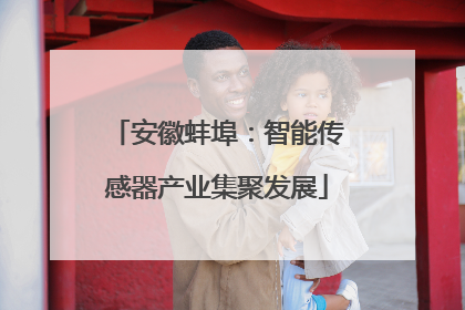 安徽蚌埠：智能传感器产业集聚发展