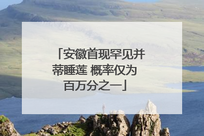 安徽首现罕见并蒂睡莲 概率仅为百万分之一