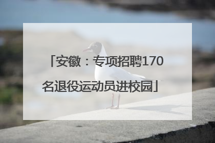 安徽：专项招聘170名退役运动员进校园