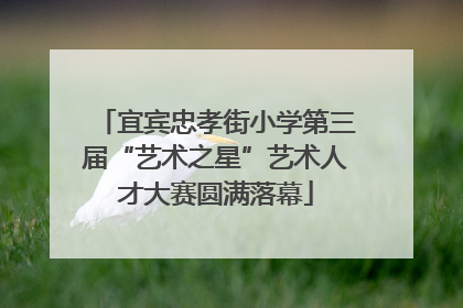 宜宾忠孝街小学第三届“艺术之星”艺术人才大赛圆满落幕