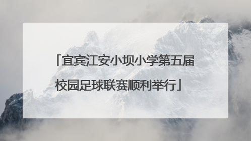 宜宾江安小坝小学第五届校园足球联赛顺利举行