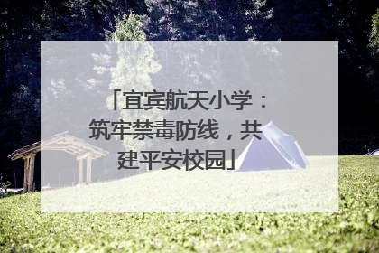 宜宾航天小学：筑牢禁毒防线，共建平安校园