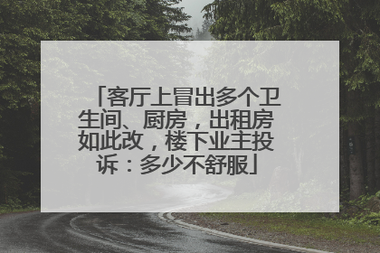 客厅上冒出多个卫生间、厨房，出租房如此改，楼下业主投诉：多少不舒服
