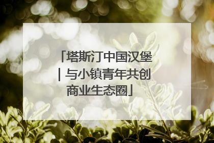 塔斯汀中国汉堡｜与小镇青年共创商业生态圈