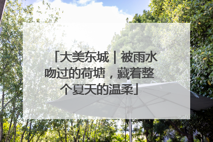大美东城｜被雨水吻过的荷塘，藏着整个夏天的温柔
