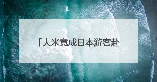大米竟成日本游客赴韩旅游“纪念品”