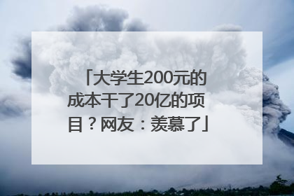 大学生200元的成本干了20亿的项目？网友：羡慕了