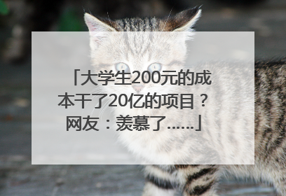大学生200元的成本干了20亿的项目？网友：羡慕了……