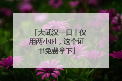 大武汉一日｜仅用两小时，这个证书免费拿下