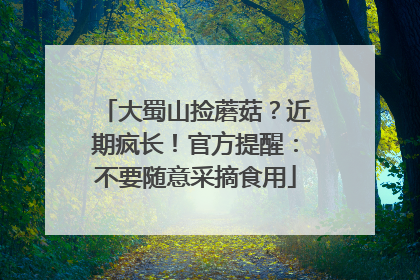 大蜀山捡蘑菇？近期疯长！官方提醒：不要随意采摘食用