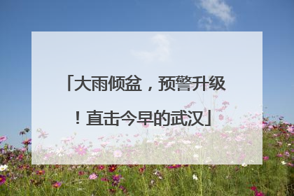大雨倾盆，预警升级！直击今早的武汉