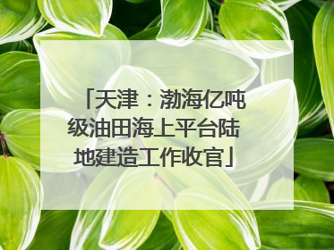 天津：渤海亿吨级油田海上平台陆地建造工作收官