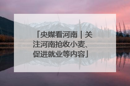 央媒看河南｜关注河南抢收小麦、促进就业等内容