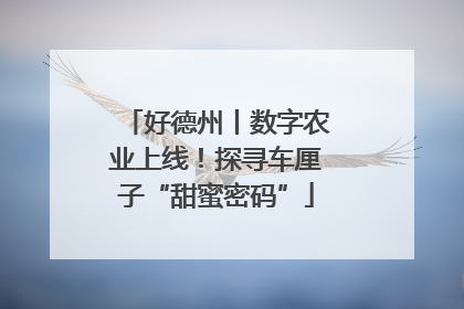好德州丨数字农业上线！探寻车厘子“甜蜜密码”