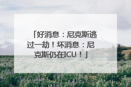 好消息：尼克斯逃过一劫！坏消息：尼克斯仍在ICU！
