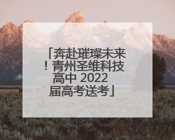 奔赴璀璨未来！青州圣维科技高中 2022 届高考送考