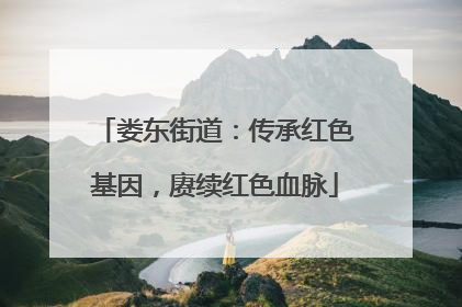 娄东街道：传承红色基因，赓续红色血脉