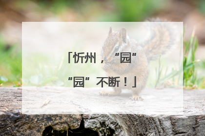 忻州，“园”“园”不断！