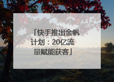 快手推出金帆计划：20亿流量赋能获客