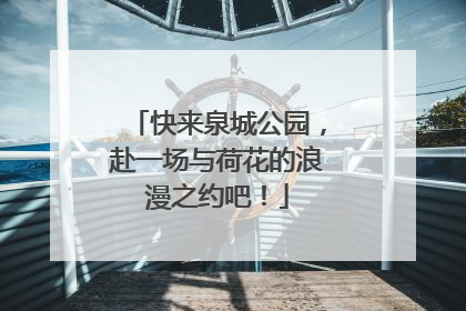 快来泉城公园，赴一场与荷花的浪漫之约吧！