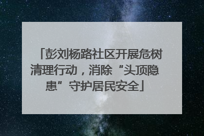彭刘杨路社区开展危树清理行动，消除“头顶隐患”守护居民安全