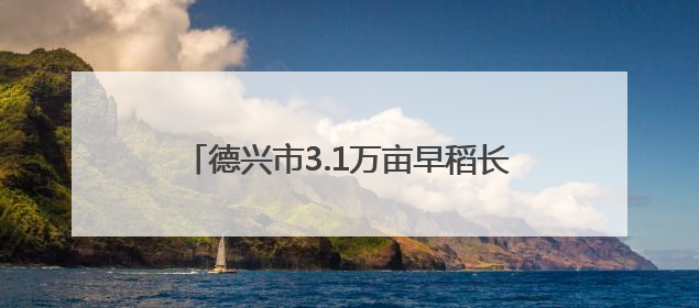 德兴市3.1万亩早稻长势喜人 丰收在望（图）