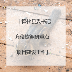德化县委书记方俊钦调研重点项目建设工作