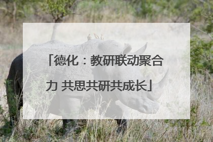 德化：教研联动聚合力 共思共研共成长