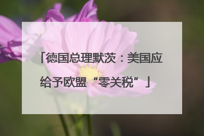 德国总理默茨：美国应给予欧盟“零关税”