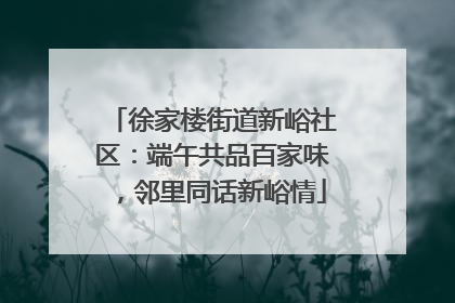 徐家楼街道新峪社区：端午共品百家味，邻里同话新峪情
