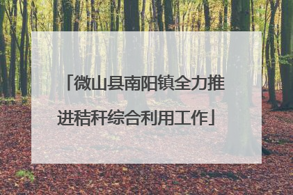 微山县南阳镇全力推进秸秆综合利用工作
