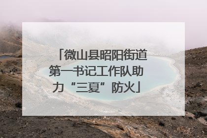 微山县昭阳街道第一书记工作队助力“三夏”防火