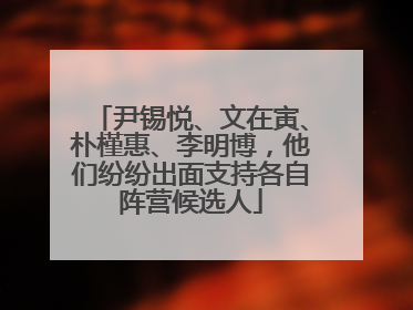 尹锡悦、文在寅、朴槿惠、李明博，他们纷纷出面支持各自阵营候选人