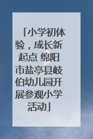 小学初体验，成长新起点 绵阳市盐亭县岐伯幼儿园开展参观小学活动